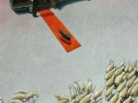 BLOC-NOTES DU 19 AVRIL&nbsp;2026